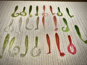 2E900EB8-76AD-4E1C-8B04-AE282D65C483.jpeg
