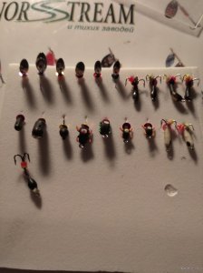 IMG_20211119_211229_1.jpg