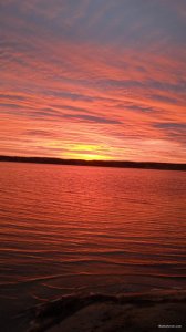 IMG_20211121_064719.jpg
