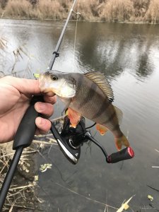 F1585F23-9BD0-4637-BFDC-120915B69E03.jpeg