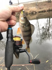 EAB6BE8F-D042-48D5-AEDC-D591DF0B6DB3.jpeg