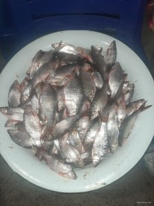 20211123_155516.jpg