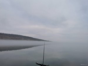 IMG_20211128_080628.jpg