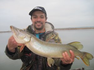 IMG_6679.JPG