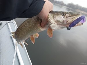 IMG_20211128_103853.jpg