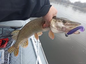 IMG_20211128_103833.jpg