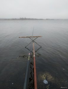 IMG_20211212_203200.jpg