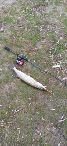 IMG_20211128_132955.jpg