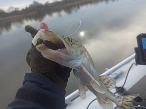 IMG_20211204_130535.jpg