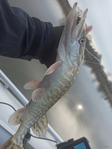 IMG_20211204_130531.jpg