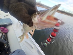 IMG_20211204_111830.jpg