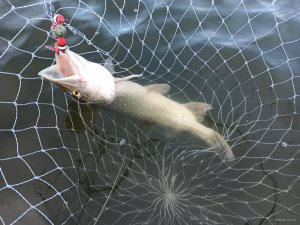 IMG_20211204_111728.jpg