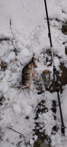 IMG_20211218_130453.jpg