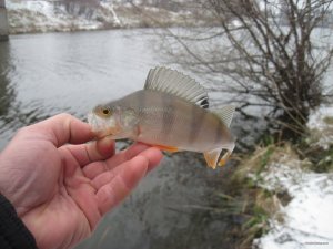 IMG_6686.JPG