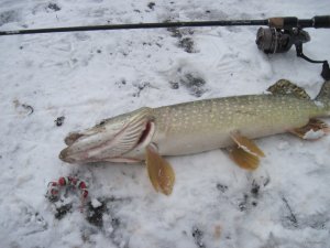 IMG_6688.JPG