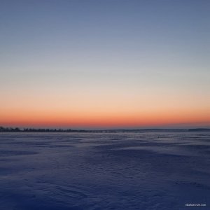IMG_20211227_142230_458.jpg