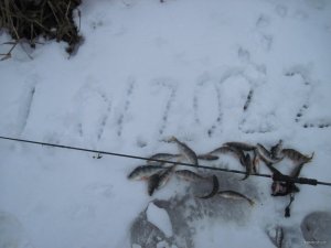 IMG_6721.JPG