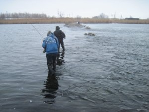 IMG_6740.JPG