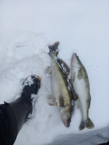 20220103_123829.jpg