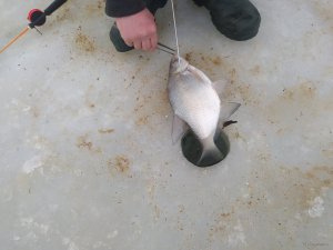 IMG_20220104_131747.jpg