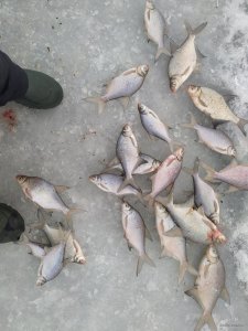 IMG_20220104_140121.jpg