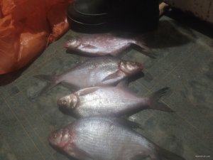 IMG_20220104_195815.jpg