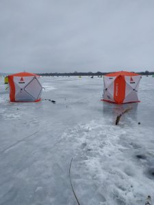 IMG_20220105_080502.jpg