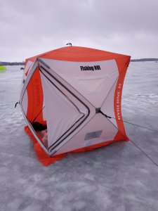 IMG_20220105_080517.jpg