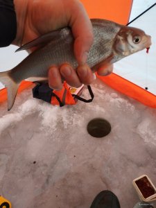 IMG_20220105_083238.jpg