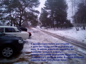 IMG_20220106_072850_3.jpg