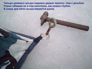 IMG_20220106_082605_0.jpg