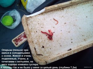 IMG_20220106_084033_6.jpg