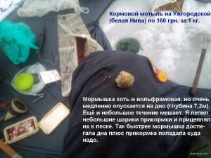 IMG_20220106_104932_6.jpg