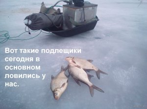 IMG_20220106_150809_3.jpg