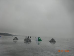 DSC07903.JPG