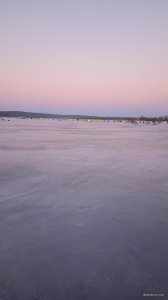 IMG_20220108_072141.jpg