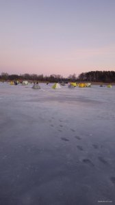 IMG_20220108_072143.jpg
