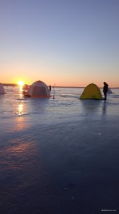 IMG_20220108_073811.jpg