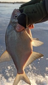 IMG_20220108_164950.jpg