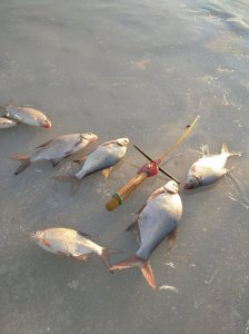 IMG_20220107_145634.jpg