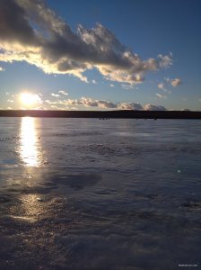 IMG_20220107_150539_1.jpg