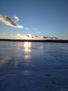 IMG_20220107_151241_1.jpg