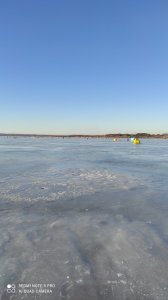 IMG_20220108_141333.jpg