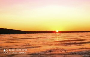 IMG_20220109_111335.jpg
