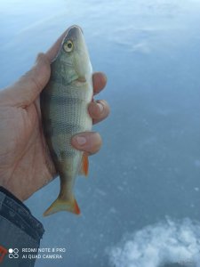IMG_20220108_143749.jpg