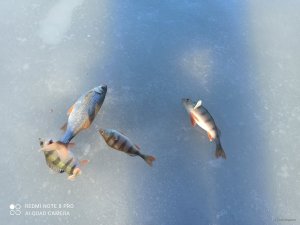 IMG_20220108_135848.jpg