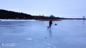 IMG_20220109_074244.jpg