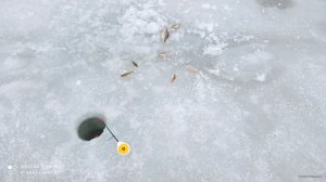 IMG_20220109_093226.jpg
