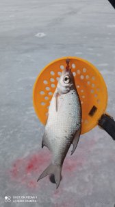 IMG_20220109_105856.jpg