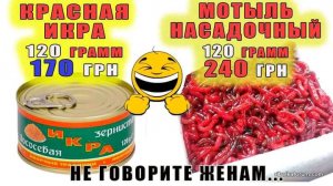 IMG-1b958c07a1146902d745dde28dc61163-V.jpg
